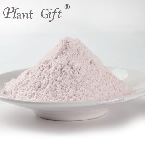 Plant Gift 100% 100G/3.25oz Pure Taro Flour Natural Taro Powder, Great Flavor for Drinks, Smoothie, Yogurt, Baking