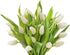 10 KaBloom PRIME NEXT DAY DELIVERY : Fall Collection - Bouquet of White Tulips without vase Gift for Birthday