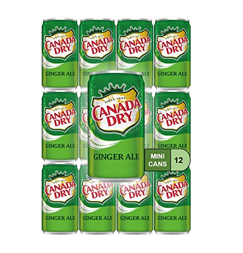 WEST END FOODS LANCASTER, PA WSNE Ginger Ale Mini Soda Cans, 7.5 oz Soft Drinks Bulk Snacks Pack,