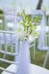 (10 Sunne Tropical OrchidClub USA Fresh Cut Flowers Dendrobium Orchids Stems WHITE)