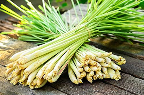 Lemongrass Tea Loose Leaf Bulk, 4 oz Herbal Tea, Caffeine Free Lemongrass Tea for Relaxation