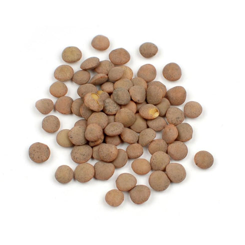 Brown Lentils (Spanish Pardina Lentils), 10 lb Premium Mediterranean Whole Lentils, Firm