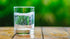 Wegmans (12 pack) 0 0 0 Sparkling Water Plain cans | calories | sugar | sodium | Vegan