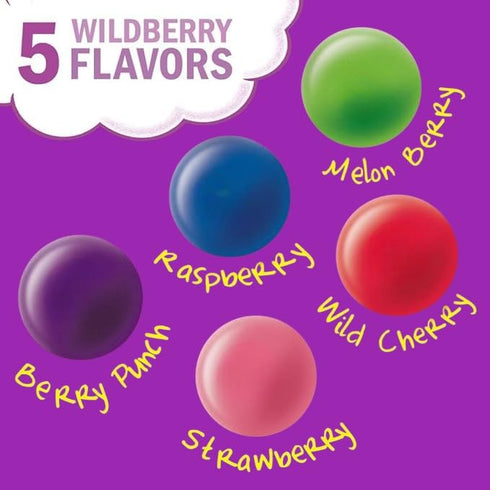 1.5 Lbs 25+ Packs (24 Oz) Sk Wild Berry Flavor Candy Coated Fruit Chew Fun Size Individually Wrapped Bulk Party