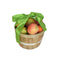 Capital City Fruit Fresh Fruit Delights All Occasions Gift Box | Gifts