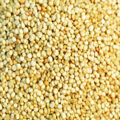 Indus Organics 2 Lb (X2 99% Packed White Quinoa Seeds, of Bags), Purity, Pre-washed, Premium Quality, Non-gmo, Freshly