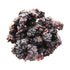 Buy Whole Foods Mulberries (250g) Organic Black