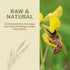 100% 1.1 lbs, Oneroot Canadian Wildflower Honey - Unheated & Creamed - Nutrient-Rich, Natural Sweetener with Enzymes
