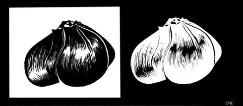 Cloves -0.15 OZ 16 Garlic Elephant Organic Fresh seeds garlic elephant for planting, eating and growing your own