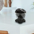 3 lb Black Licorice Wheels Bag Rich Licorice Flavor Soft & Chewy Texture Perfect for Snacking & Gifting Sweet Treat