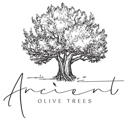12.6 OZ. 1 ANCIENT OLIVE TREES - Balsamic Vinegar | Aceto Balsamico di Modena IGP | Perfect for Any Sauce, Marinade