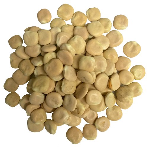 OliveNation Extra Large Dry Lupini Beans, High Protein Legume for Authentic Mediterranean
