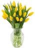 KaBloom PRIME NEXT DAY DELIVERY - Shasta Collection : Bouquet of 20