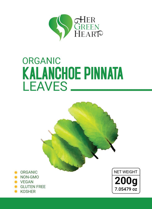 HER GREEN HEART 100% Kalanchoe Pinnata Leaves Herbal tea - Pure, Dried Leaves for Culinary, Tea, and Herbal Uses