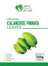 HER GREEN HEART 100% Kalanchoe Pinnata Leaves Herbal tea - Pure, Dried Leaves for Culinary, Tea, and Herbal Uses