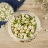 Plant Gift 100% 30G/1.05oz Jasmine Fresh, Non GMO Loose Leaf , Natural Dried Flowers Herbs for Soap Making, Syrup