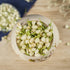 Plant Gift -3 0g/1.05oz 100% Dried Jasmine Flowers - Natural Jasmine Tea Edible Flowers - Pure Jasmine Buds Loose Leaf