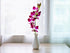 (10 Sunne Tropical OrchidClub USA Fresh Cut Flowers Orchids Stems Dendro PURPLE)