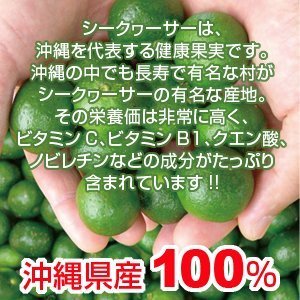 Chura Island Okinawa 100% Okinawa specialty tightly Shikuwasa (single)