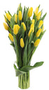 KaBloom Flowers - 15 Yellow Tulips Without Vase - Gift for Birthday,