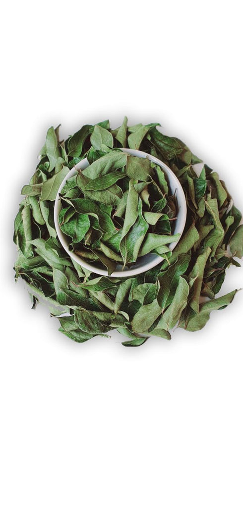 Ceylon Twins 0.5OZ Curry Leaves Naturally Grown Air Dried Herb Fresh Grocery Premium Grade Curry Patta Aromatic Flavor