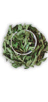 Ceylon Twins 0.5OZ Curry Leaves Naturally Grown Air Dried Herb Fresh Grocery Premium Grade Curry Patta Aromatic Flavor