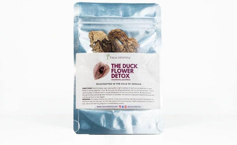 Yaga Lifestyle Duck Flower Detox Tea (2 Duck Flowers), Aristolochia grandiflora, Wildharvested from Jamaica,