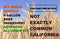 Not Exactly Common California Ale Advanced Home Brew 5 Gallon All Grain
