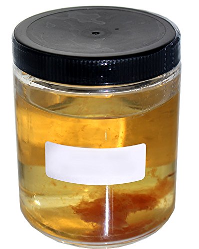 Supreme Vinegar Supreme White Wine Mother of Vinegar (New & Improved Mother)