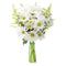 KaBloom - 10 White Daisy with Yellow aster - Fresh Flowers for