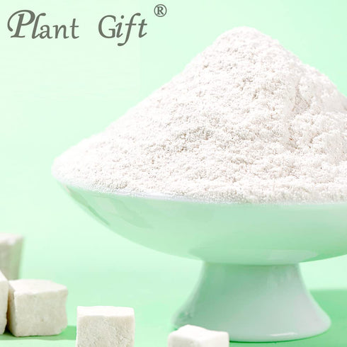 Plant Gift 100% 100G/3.25oz Pure Poria Cocos Powder Natural Poria Cocos Flour, Great Flavor for Drinks, Adds Flavor