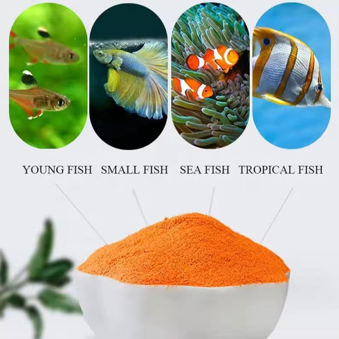 MorexLab 100% (4.93 OZ (140 Decapsulated Brine Shrimp Eggs (Non-Hatching) - High Protein Natural Food for Fish, Fry