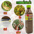 XXX X3 3 Bottle Style Zap Mike , Nay Pol , Jawirat Thai Fish Sauce Fermented Papaya Salad Dressing
