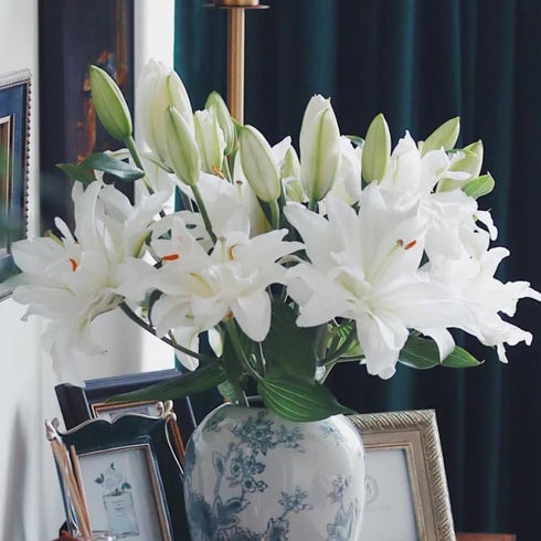5 stems fresh-cut multi-petal lilies Scented for a long time and good for hydroponic flower arrangements Shipped