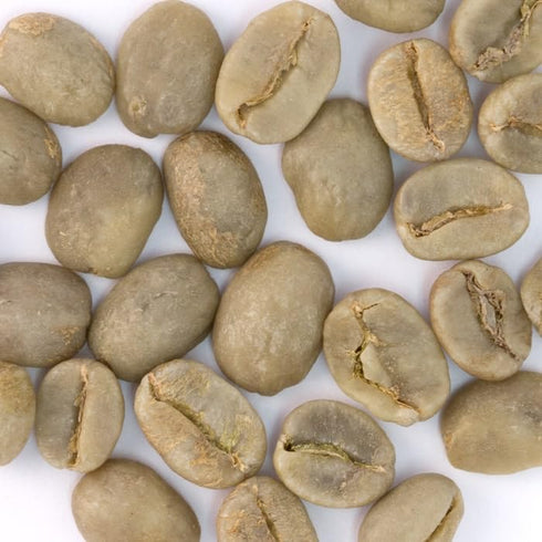 5 (Pack 1) Coffee Bean Direct Unroasted Colombian Supremo, Raw Arabica Coffee Beans for Home Roasting, Pound