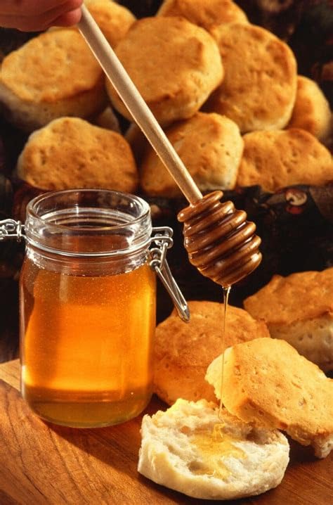 Phoenix Rose Pack 50 Packets Honey Lovers Gift Individual of Pure Honey Perfect for Tea, Coffee, Travel, and Snacking
