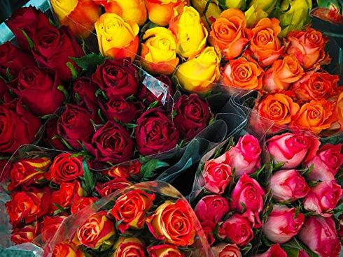 Home Comforts Flowers Roses Colorful Red Bouquet-20 Inch By 30 Inch Laminated Poster With