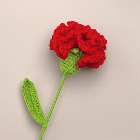 Hcclijo Hand-Knitted Carnation Bouquet for Mother's Day