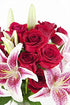 KaBloom - Adore Her Mixed Bouquet of Farm-Fresh Red Roses and Pink Lilies without vase - Fresh Flowers for Birthday