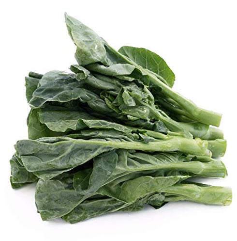 University Gifts Young Gailan Miu (Baby Chinese Broccoli) Great for Stir Fry - One