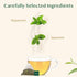 VAHDAM Pure Mint Herbal Tea, 100 Pyramid Tea Bags, Caffeine Free, Non GMO, Gluten Free, Sweet & Minty, Resealable