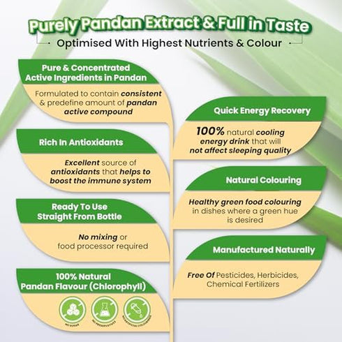 Pandan Extract Concentrate for Bakery & Beverage | Fresh Natural Asian Gourmet Flavoring Ingredient (80g)