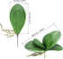 DPWOUM 1 8 InchOrchid piece Green Faux Orchid Leaves Leaves Leaves Real Touch Phalaenopsis Stems Faux Cymbidium Flower
