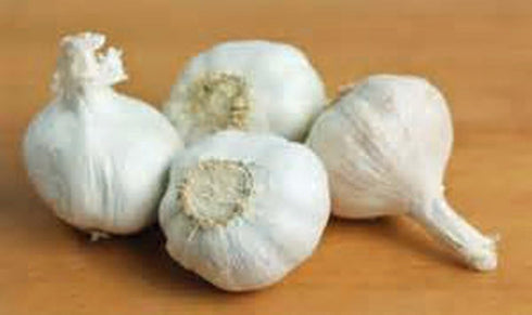 BULB (10 Pack), BULB GARLIC FRESH CALIFORNIA SOFTNECK GARLIC FOR PLANTING AND GROWING YOUR OWN GARLIC