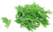 Mizuna Mustard Green Seeds - 50 Count Seed Pack - Non-GMO -