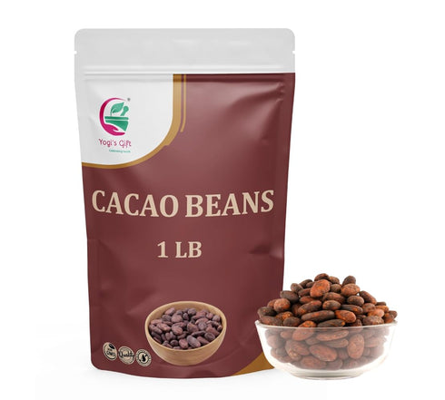 Cacao Beans 1 lb Whole Raw Cacao Beans for Brewing, Snacking &
