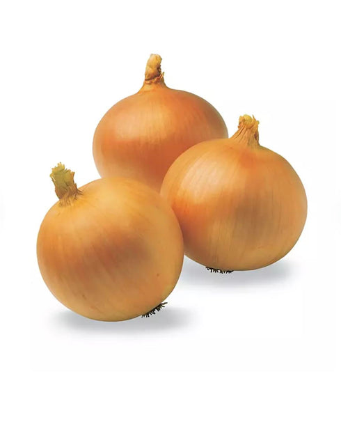 Generic 10 lbs. Yellow Onions
