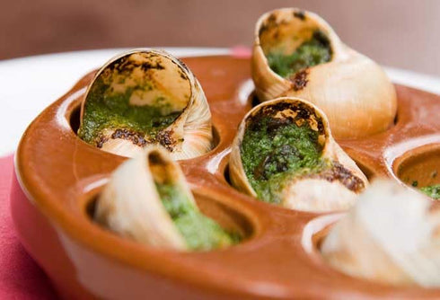 72 1.76 lbs (800 Escargots - Pieces of Organic Helix Burgundy Snails - "Land Lobster" Grams)