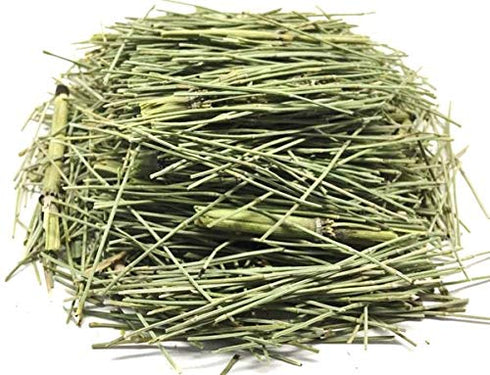 Horsetail Tea Cola de Caballo Herbal Tea, 30g (1.06oz) - 100% Natural, Caffeine Free Detox