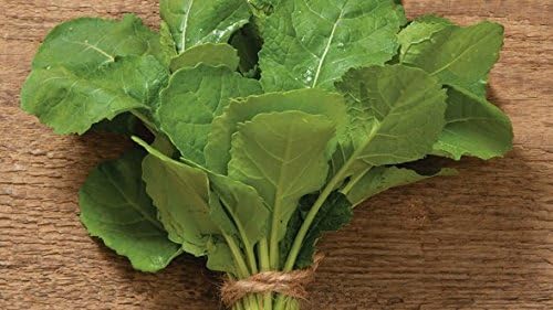 Mustard and Co. Ethiopian Kale Seed,AKA liki liki, Amara Mustard Green, Highland Kale, Abyssinian Mustard,
